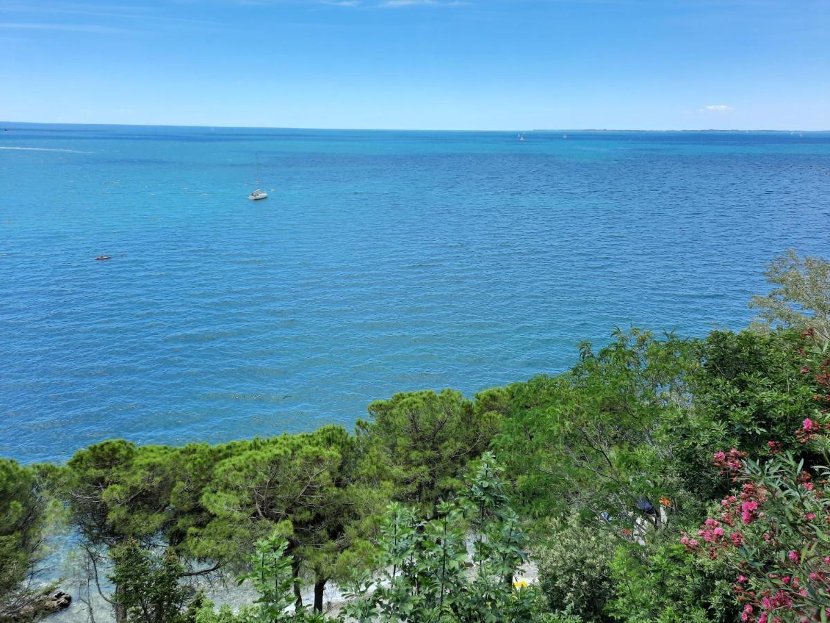 Agriturismo Ai Tre Sentieri Ауризина Экстерьер фото