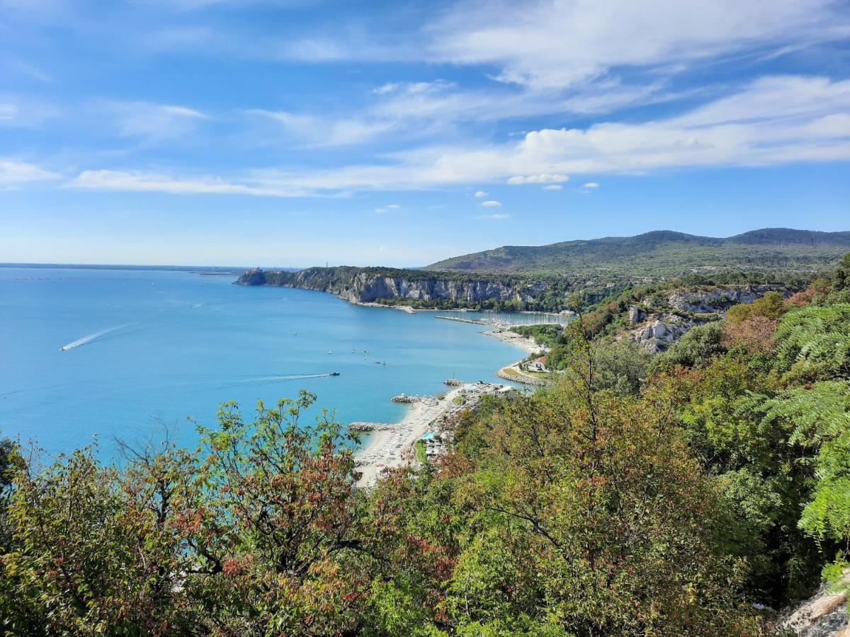 Agriturismo Ai Tre Sentieri Ауризина Экстерьер фото